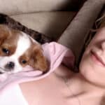 Pet Custody Long Island Divorce