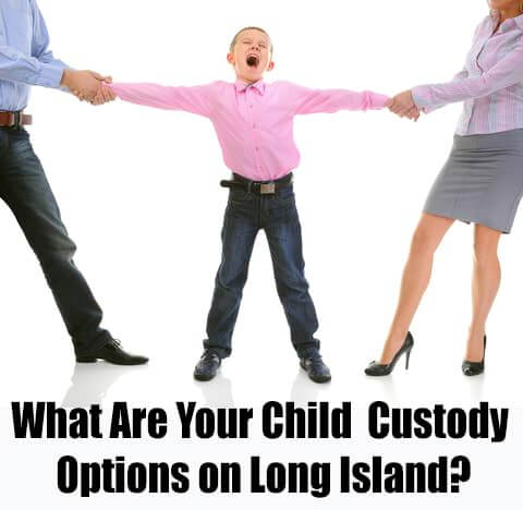 child custody long island ebook