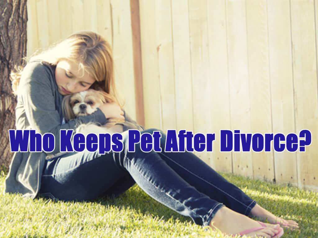 Divorce Attorney Long Island Nassau County Suffolk County Pet Custody