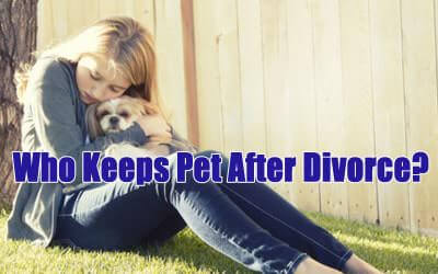 Long Island Divorce Attorney Explains Issues of Pet Custody in Nassau County and Suffolk County Divorces