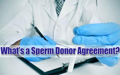 Long Island Family Law Attorney Discusses Legal Issues of Artificial Insemination