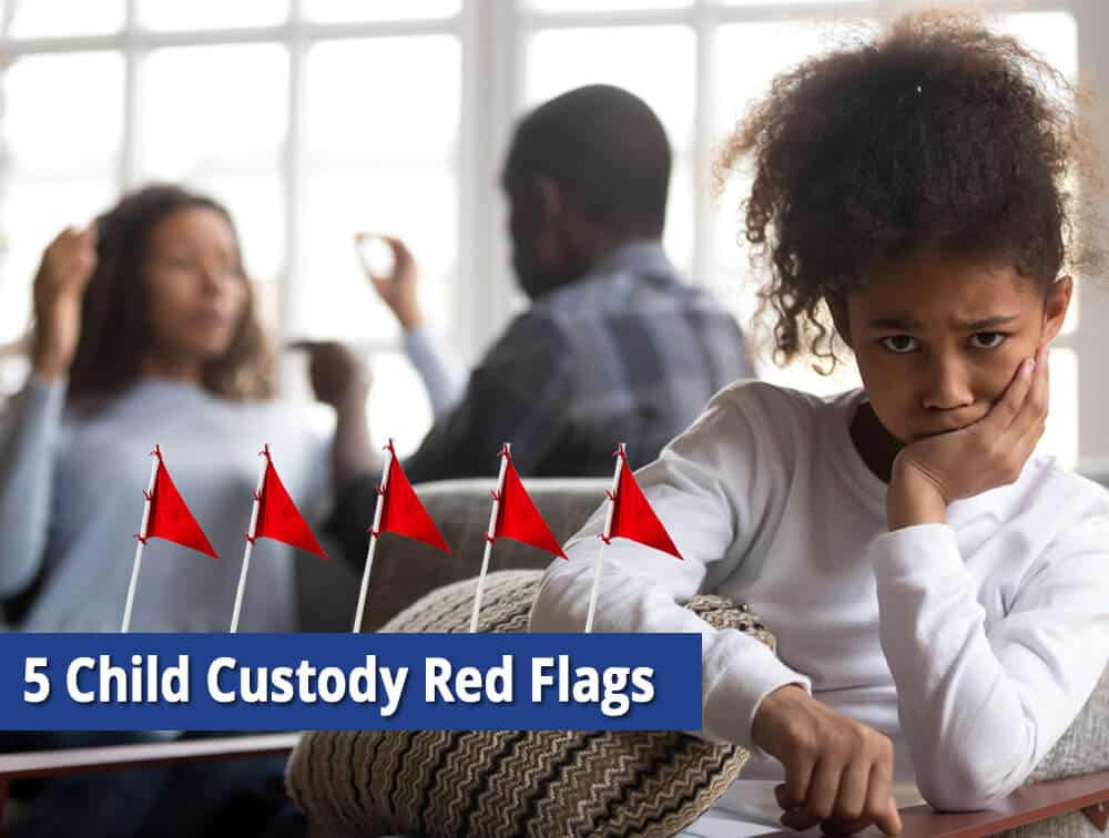 child custody red flags