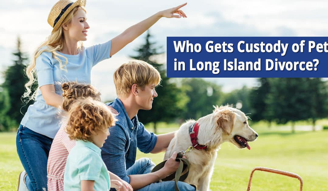 Who Gets Custody of Pets in Long Island Divorce?