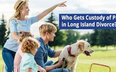 Who Gets Custody of Pets in Long Island Divorce?