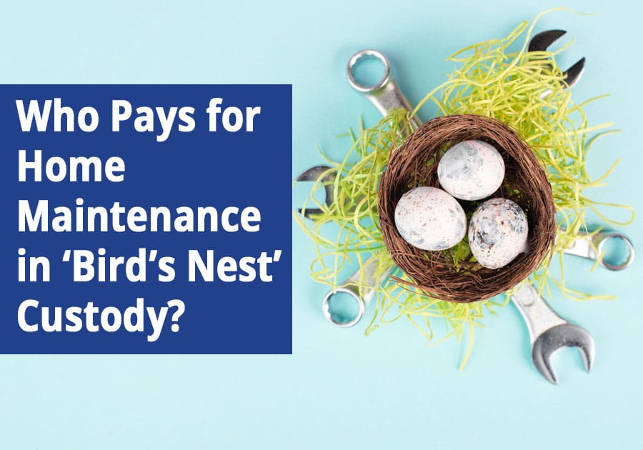 Who Pays for Home Renovations in ‘Bird’s Nest’ Custody?
