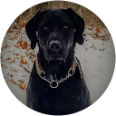 Martin Ketelsen profile picture