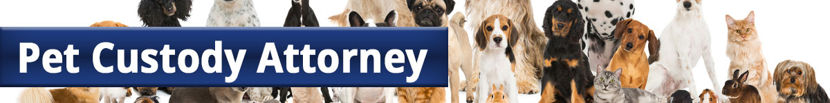 pet custody attorney text over images of pets