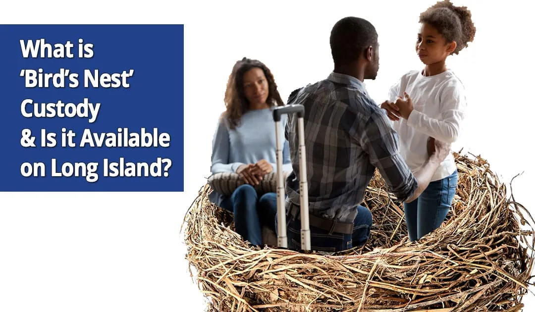 What-is-‘Bird’s-Nest’-Custody-&-Is-it-Available-in-NY What is ‘Bird’s Nest’ Custody & Is it Available in NY?